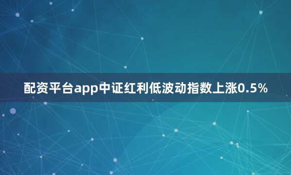 配资平台app中证红利低波动指数上涨0.5%