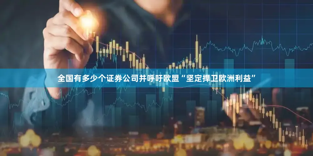 全国有多少个证券公司并呼吁欧盟“坚定捍卫欧洲利益”