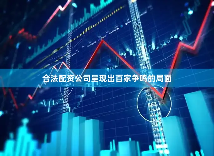 合法配资公司呈现出百家争鸣的局面