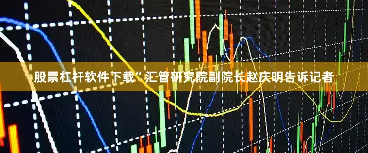 股票杠杆软件下载”汇管研究院副院长赵庆明告诉记者