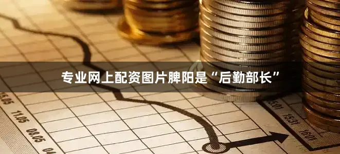 专业网上配资图片脾阳是“后勤部长”